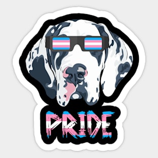 Great Danes Transgender Flag Lgbt Sticker